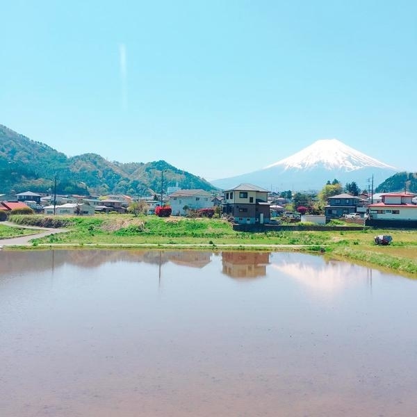 去日本！坐富士山ビュー特急觀光列車