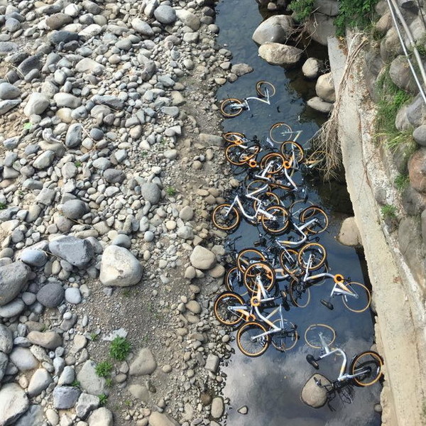 台灣 oBike 共享單車遭棄置溪流