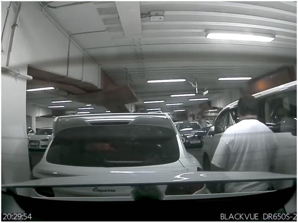 Tesla 車 Cam 捉正「波子」垃圾蟲 網民：車 Cam 好清