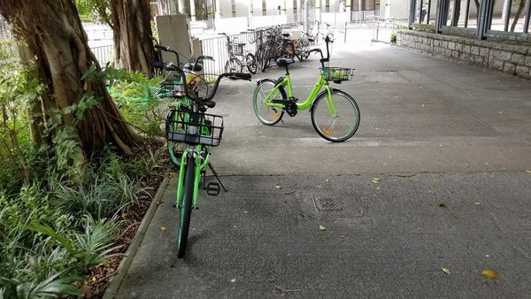gobee.bike 問題多 馬鞍山社區前線呼籲停用