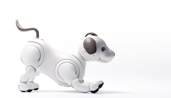 Sony 全新智能機械狗 aibo 現真身！變聰明要課金？