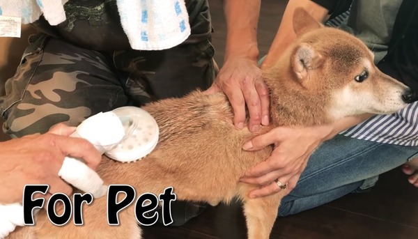 RoomShampoo 洗頭神器登場！邊出水邊吸水隨時隨地洗頭