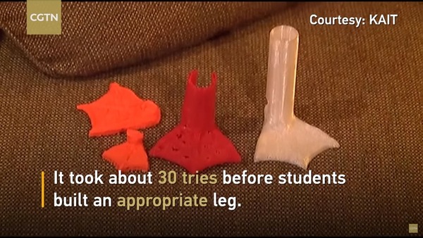 初生鴨仔遭咬斷腳掌！美國中學生 3D 打印義肢助重生