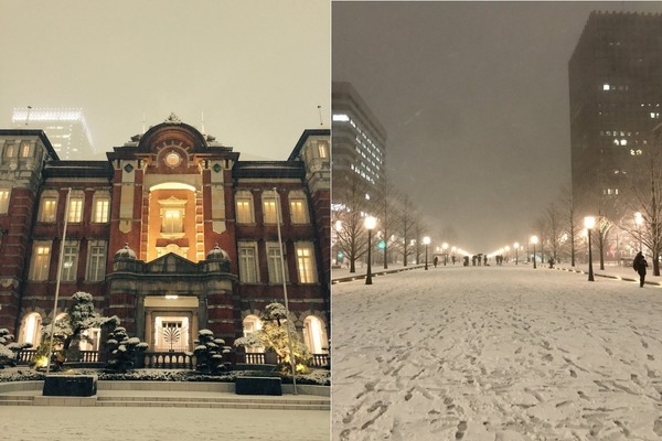 東京變夢幻雪都相集！日本人雪中乖乖排隊影相成另類風景