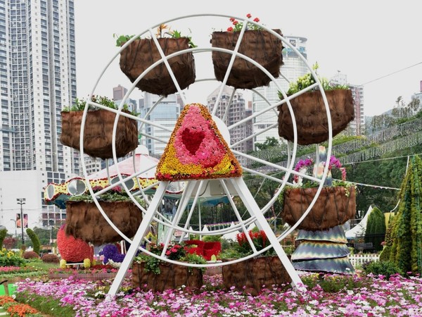 影友注意！2018 香港花卉展覽 3 月中維園見