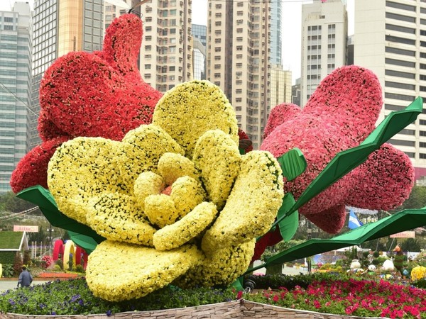 影友注意！2018 香港花卉展覽 3 月中維園見