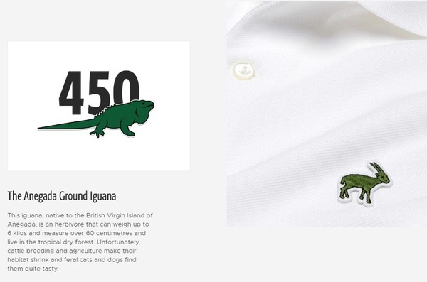 Lacoste 推「瀕臨絕種動物」POLO 衫！全球剩 30 隻呼籲大家關注