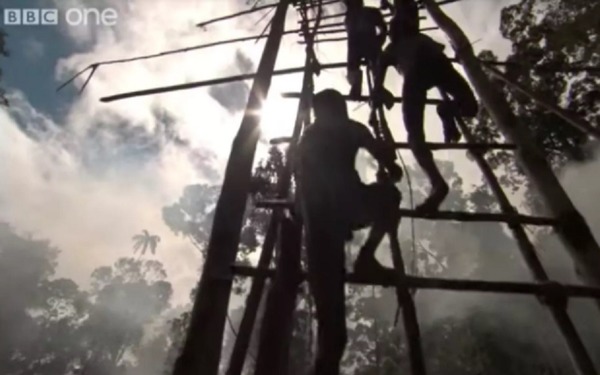 BBC 承認《Human Planet》紀錄片造假！「原住民樹屋」竟是道具？