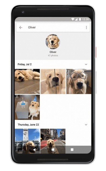 Google Lens 睇相辨識寵物品種！一鍵編輯「毛孩影片」