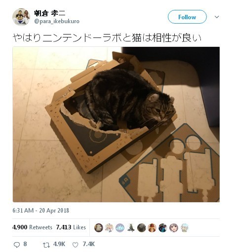 【多圖】Switch Labo 紙皮遊戲 vs 宿敵貓貓 