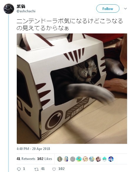 【多圖】Switch Labo 紙皮遊戲 vs 宿敵貓貓 