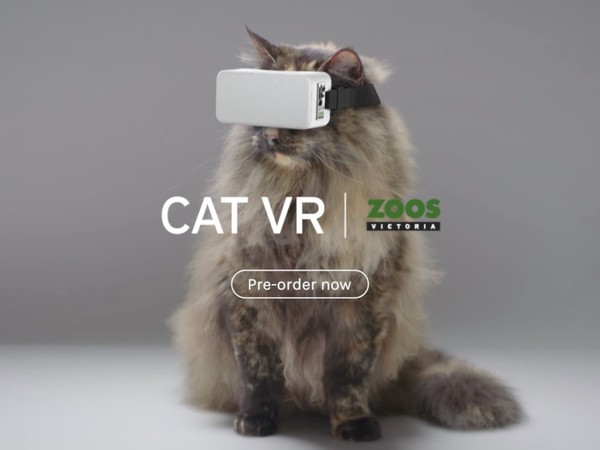 為喵星人而設的 CatVR 眼鏡  網民：這是開玩笑嗎？