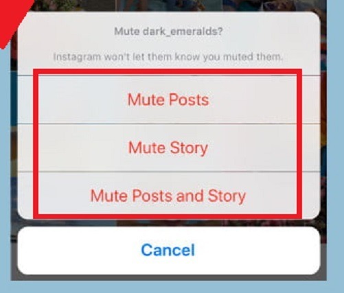 Instagram 終可偷偷「Mute」人！一鍵靜音秘技
