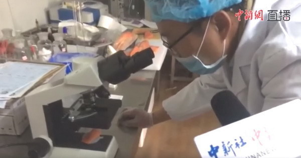 中國「檢測員」化驗國產三文魚連顯微鏡也用錯！網民震驚：化驗太假了