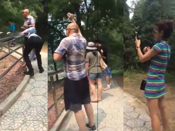 動物園遊客用石頭掟老虎只為「讓牠動」！網民：爬入圍欄肯定郁