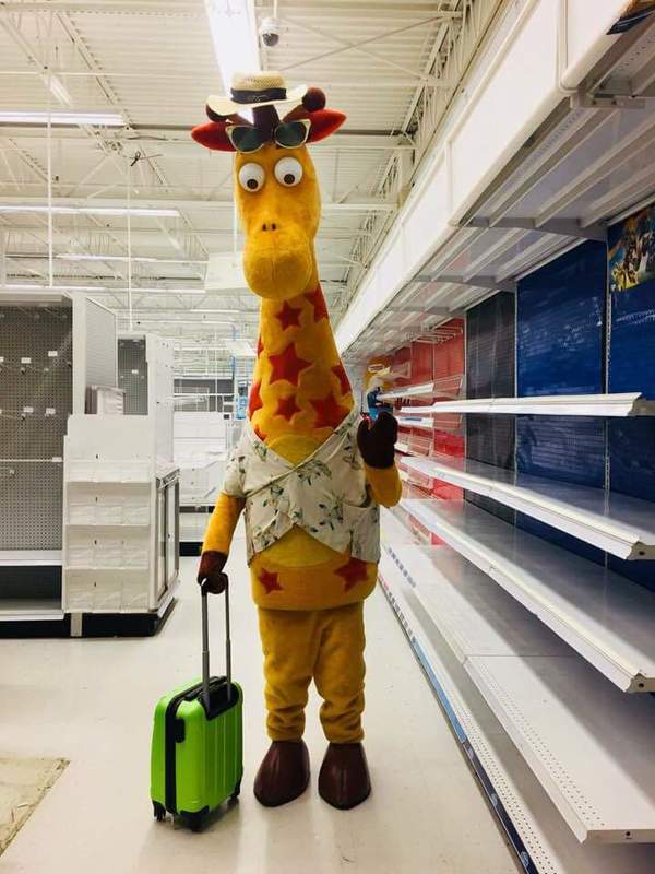 【有洋蔥】美國玩具反斗城結業 吉祥物Geoffrey踏上旅途