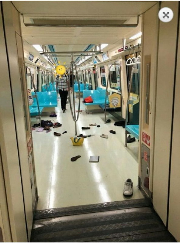  台北捷運車廂變屍殺列車！原因竟是一隻老鼠