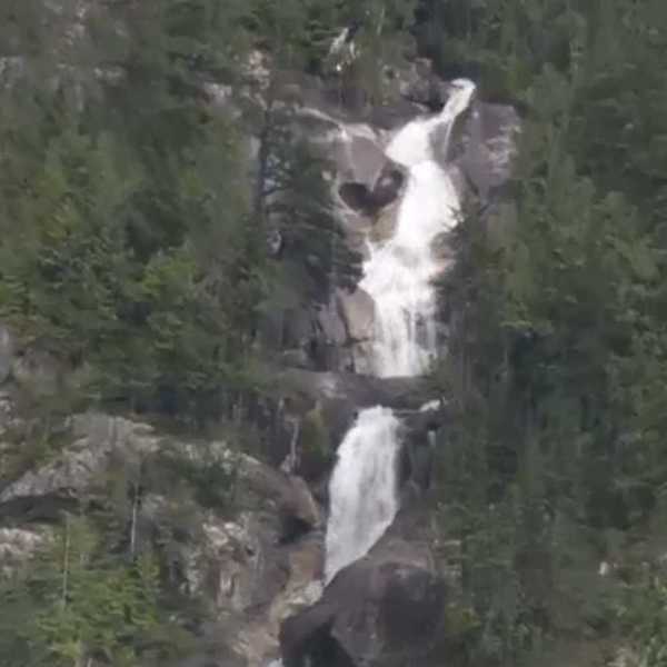 3 名旅遊 YouTuber 於加拿大瀑布意外失足墜下身亡