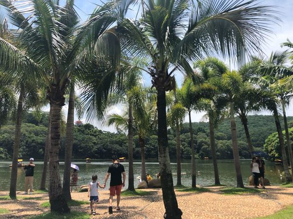 深圳仙湖植物園遊記 假日北上找仙人掌包圍自己