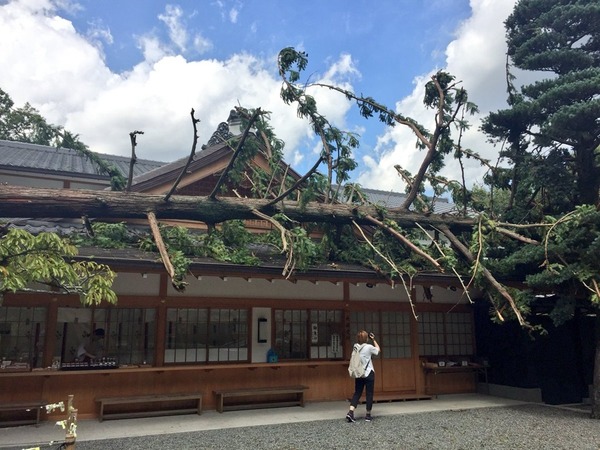 颱風飛燕重創京都奈良 神社文化遺產損毀嚴重