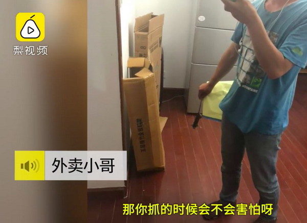 家中廁所發現老鼠  上海女子用外賣 app 求救？