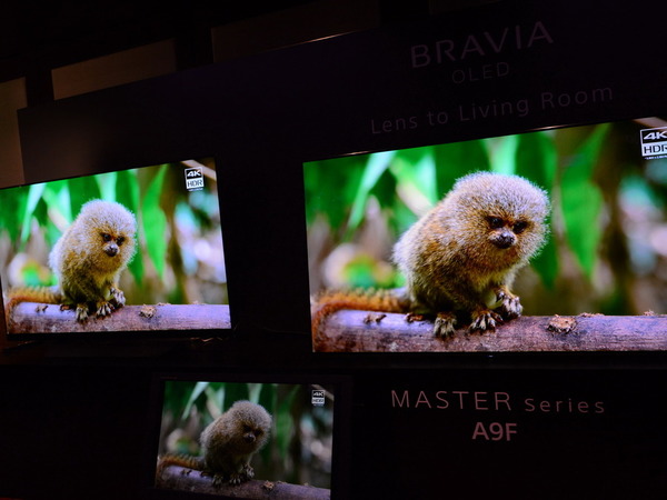 Sony Master A9F OLED 4KTV 畫質初步評測