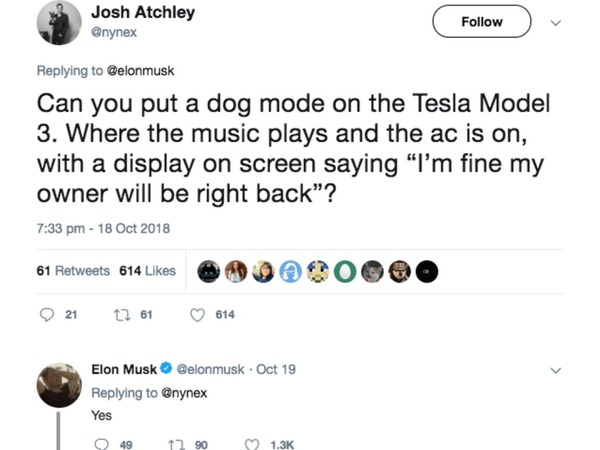 Tesla Model 3 新車將設「狗狗模式」 回應網民訴求？