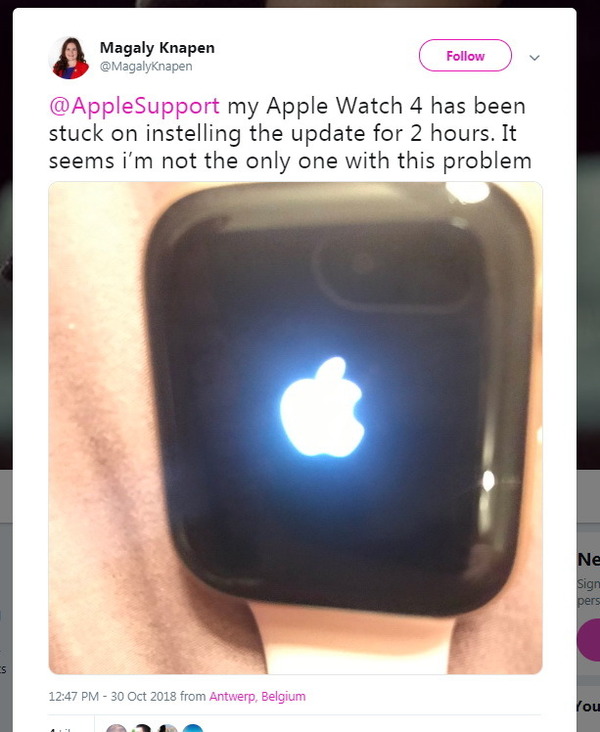 Apple Watch 更新 watchOS 5.1 變磚