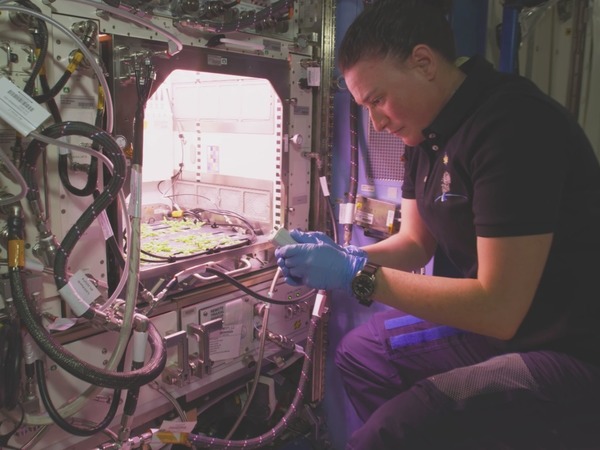 NASA 首拍 8K 超高清太空影片  直擊太空站工作實況