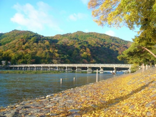 京都政府推嵐山觀光地點人流預覽網站