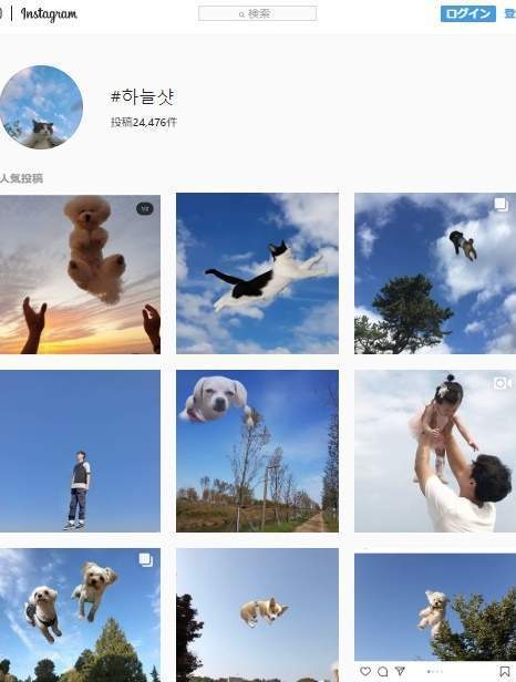 韓流潮玩「漂浮」寵物攝影被質疑虐待！專家警告：失手會骨折甚至跌死
