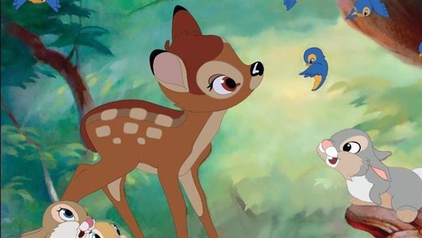 偷獵者殺數百鹿被嚴懲！強制煲足一年迪士尼「小鹿斑比」