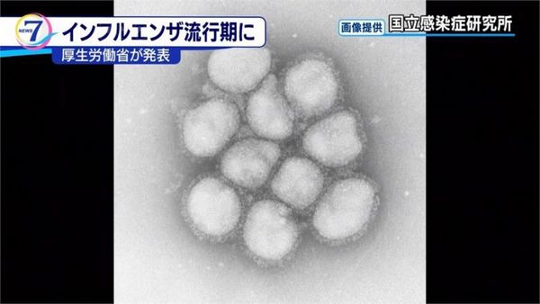 流感肆虐日本 逾百萬人確診感染 東京沖繩熊本北海道發出特別警報