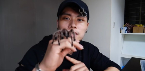 YouTuber 玩命「生吞」毒蜘蛛！網民怒斥：不要加重醫護負擔【有片慎入】