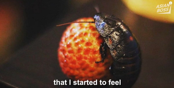日本男與蟑螂相戀 1 年！曾幻想與牠做愛？