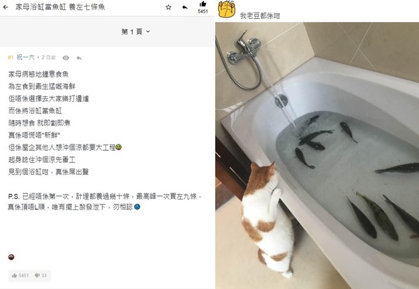 巴打抱怨阿媽浴缸養海鮮為即劏即煮！網民錯重點：貓貓新玩具