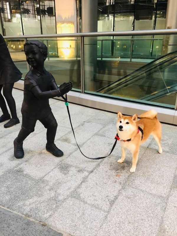 屋苑擺詭異「一家五口」雕像!網民:欠 13 個變 18 銅人