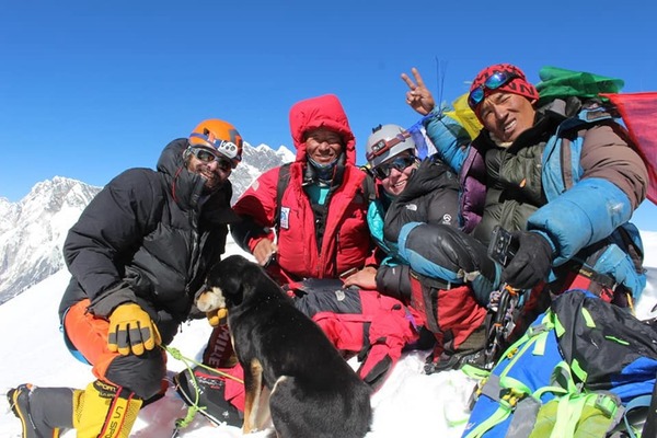 史上首隻攀上逾 7000 米高峰狗狗！流浪狗尾隨登山隊上喜馬拉雅山