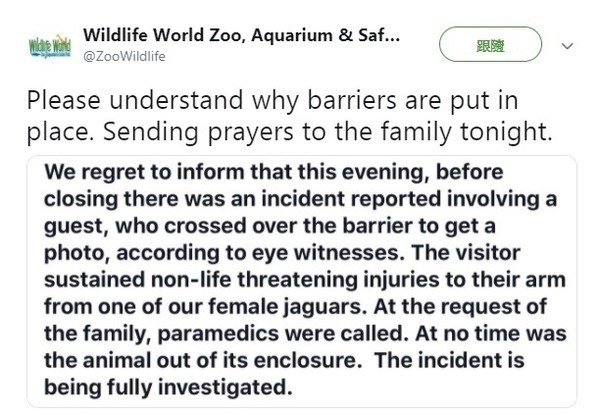 【睇片慎入】女子越欄與美洲豹 selfie 自拍遭抓傷 動物園拒賜豹安樂死：不是豹的錯