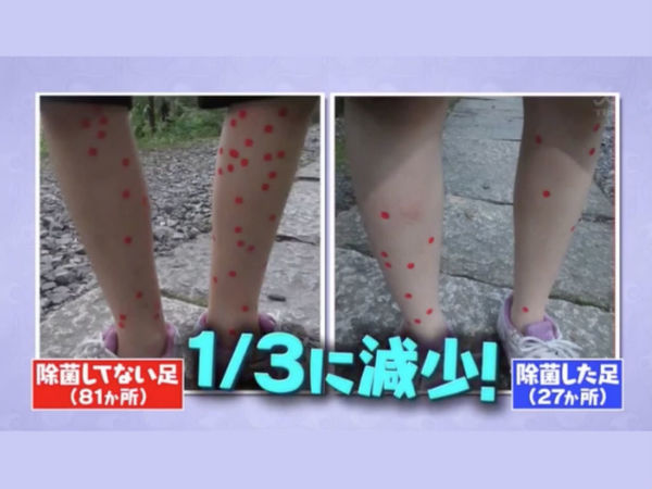 【日本節目教路】消毒殺菌濕紙巾有效防蚊叮？同場加映衛生防護中心防蚊措施