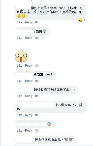 SUV 車底疑驚現大蟒蛇！網民笑：真．屈蛇