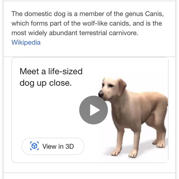 Google AR 動物搜尋教學！隨時召喚獅、鯊、熊入屋