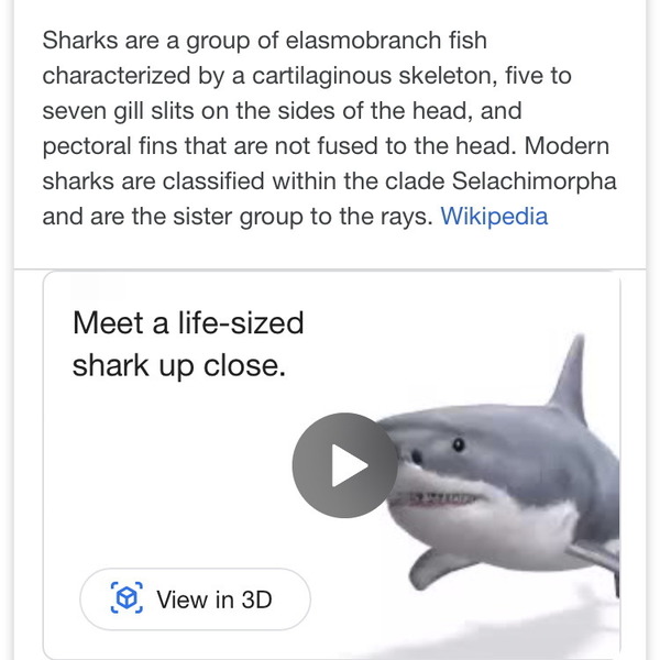 Google AR 動物搜尋教學！隨時召喚獅、鯊、熊入屋