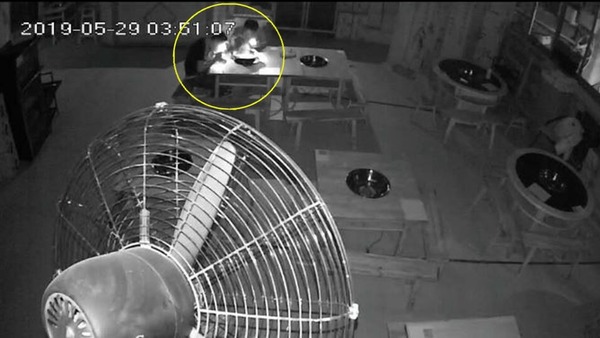 男子潛入火鍋店偷食 3 晚兼收拾洗碗！因一件物品「斷正」被揭發