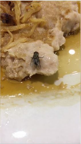 【恐怖慎入】餐廳食飯遇烏蠅在食物上產卵！高清影片令網民高呼「好噁心」