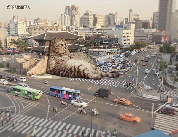 貓咪佔領世界？3D 插畫師畫出貓咪夢想天堂【多圖】