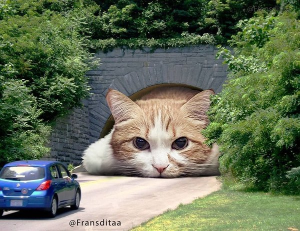 貓咪佔領世界？3D 插畫師畫出貓咪夢想天堂【多圖】
