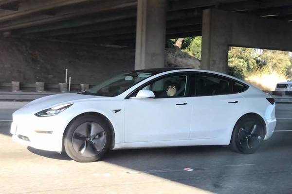 自動駕駛太可靠？歐美多名 Tesla 電動車司機被揭睡眠駕駛