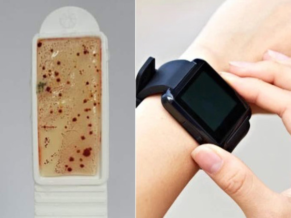 運動手錶細菌量竟是馬桶 8 倍！教你 7 步輕鬆清潔手錶