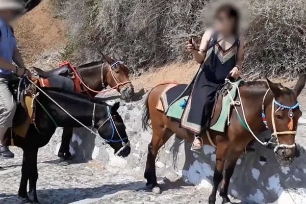 希臘驢仔全日無停手？被迫日載客晚載垃圾 